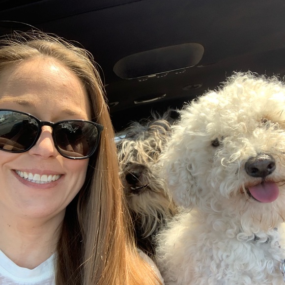 Meet your Posher, Sage - Picture 1 of 1